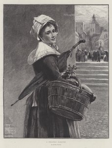 A Christmas Marketer